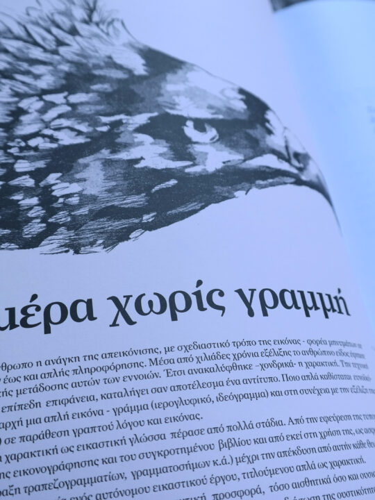 gr design 9 - Image 9